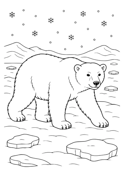Eisbär Ausmalbild zum Ausdrucken