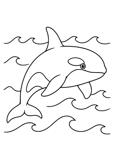 Orca Ausmalbild kostenlos zum Ausdrucken