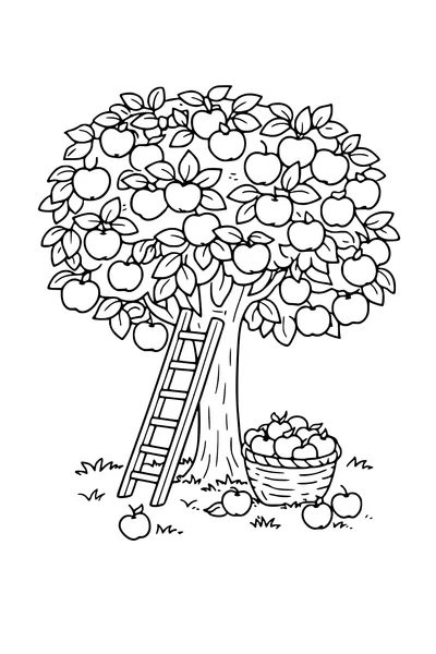 Coloring page of an apple tree with a ladder and a basket of apples