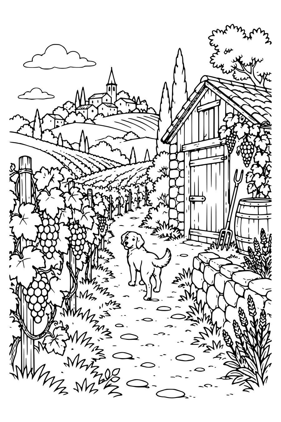 Coloring page: A path through the grapevines.