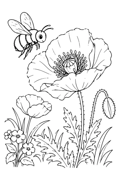 Ausmalbild: Hummel an der Mohnblume.