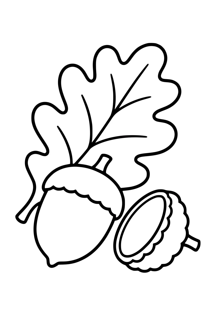 Een grote eikel ligt naast een losse dop en één eikenblad.