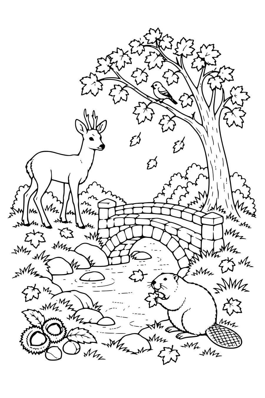 Coloring page: Roe deer beside a little stone bridge.