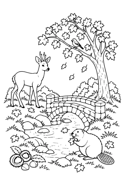 Coloriage: Chevreuil près d’un petit pont de pierre.