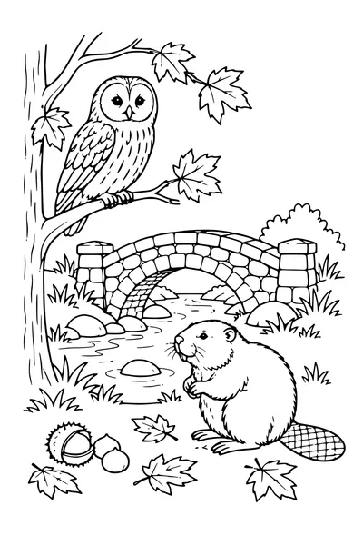 Coloriage: Chouette hulotte près d’un petit pont de pierre.