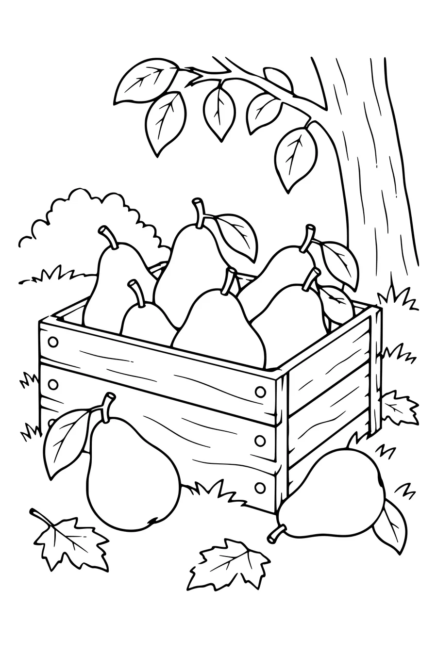 Kleurplaat: Peren in een houten krat.