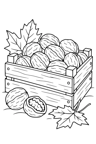Coloriage: Noix dans une caisse en bois.