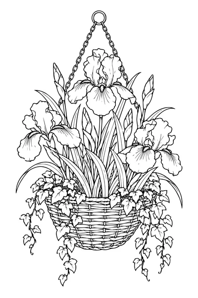 Coloriage: Iris dans un panier suspendu.