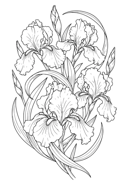 Coloriage: Iris en bouquet spiralé.