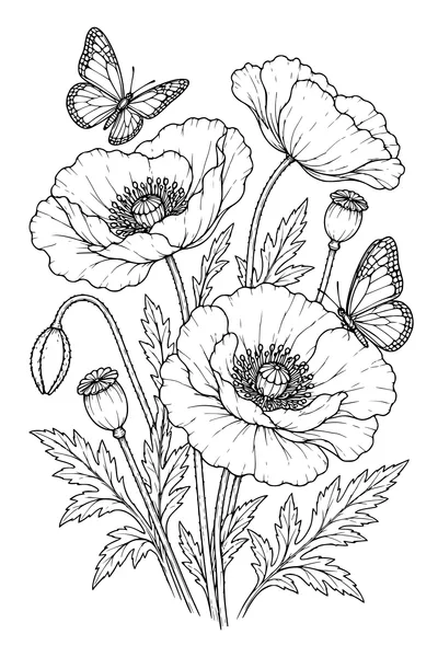Coloriage: Coquelicots avec des papillons.
