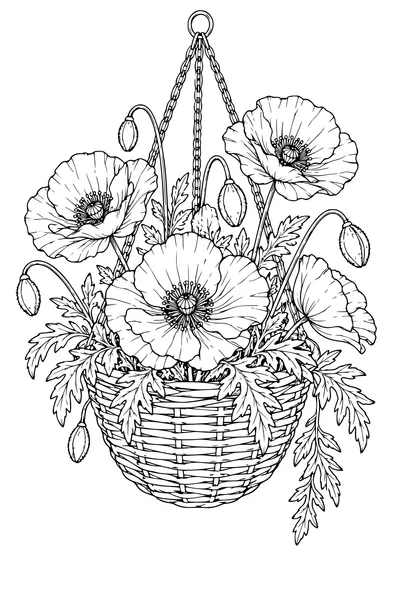 Coloriage: Coquelicots dans un panier suspendu.