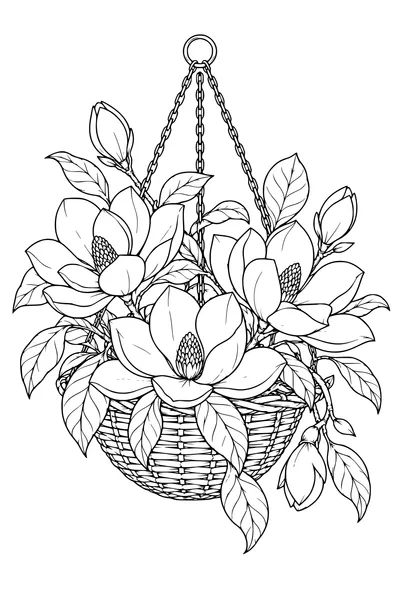 Coloriage: Magnolias dans un panier suspendu.