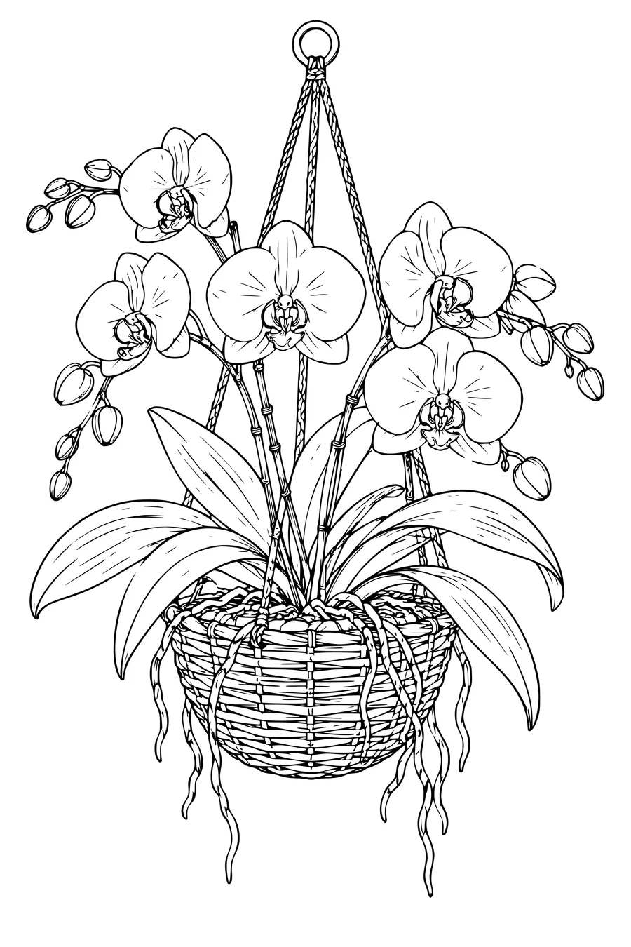 Coloriage: Orchidées dans un panier suspendu.