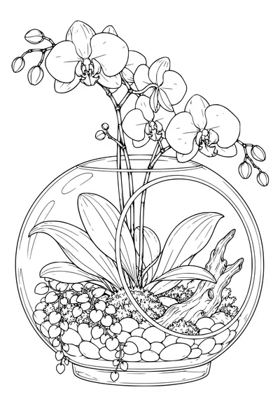 Coloriage: Orchidées dans un terrarium en verre.