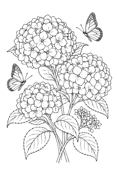 Coloriage: Hortensias avec des papillons.