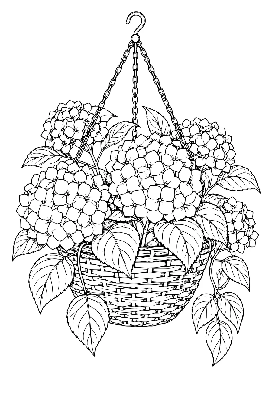 Coloriage: Hortensias dans un panier suspendu.