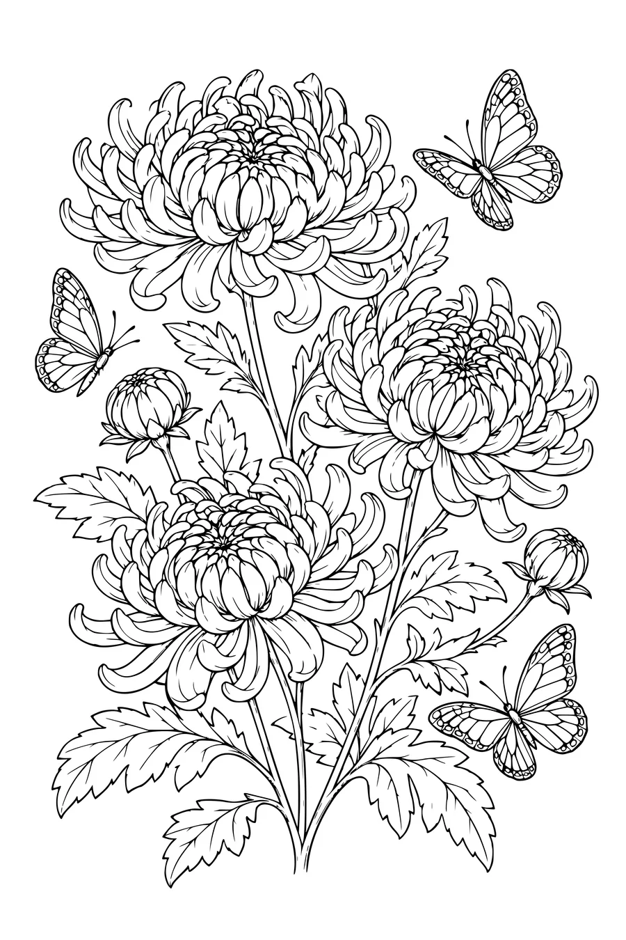 Ausmalbild: Chrysanthemen mit Schmetterlingen.