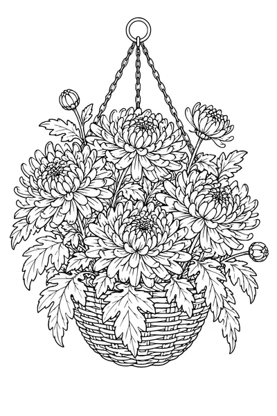 Coloriage: Chrysanthèmes dans un panier suspendu.