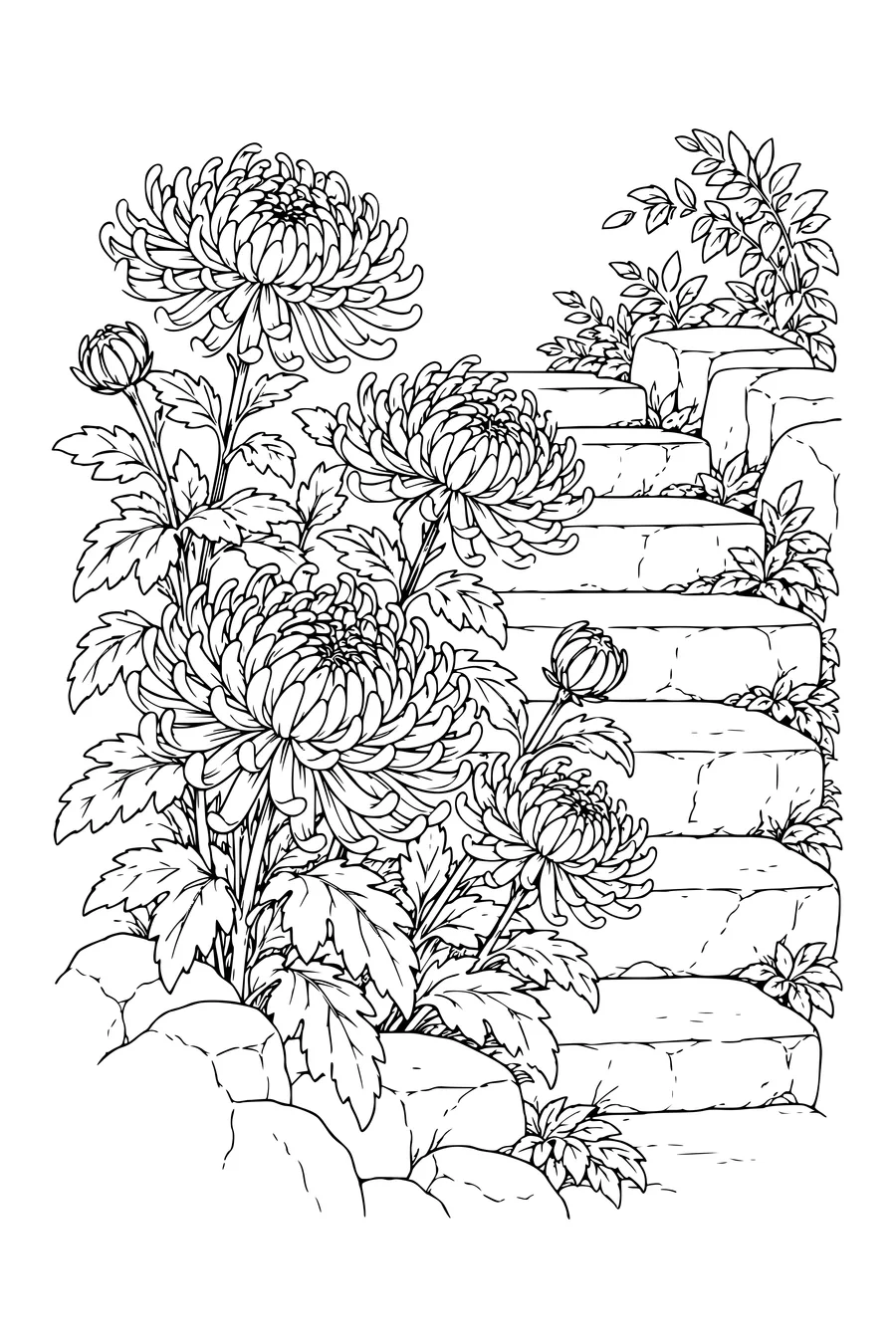 Coloring page: Chrysanthemums along stone steps.
