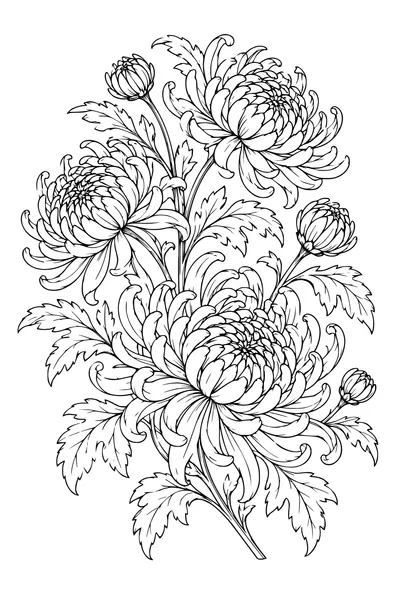 Coloriage: Chrysanthèmes en bouquet spiralé.