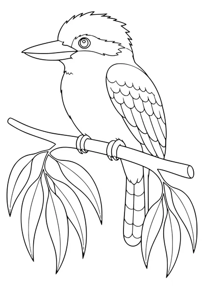 Kookaburra on a branch coloring page — kostenloses Ausmalbild zum Ausdrucken