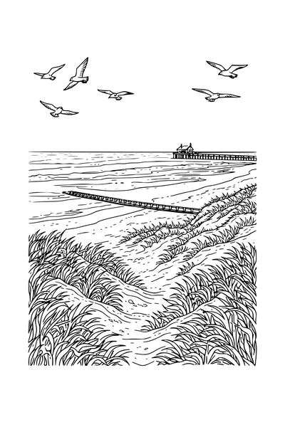 Coloring page of a dune coastline with a beach and breakwater