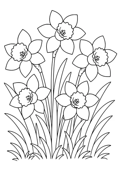 Daffodils coloring page