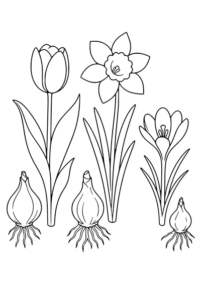 Flower bulbs coloring page