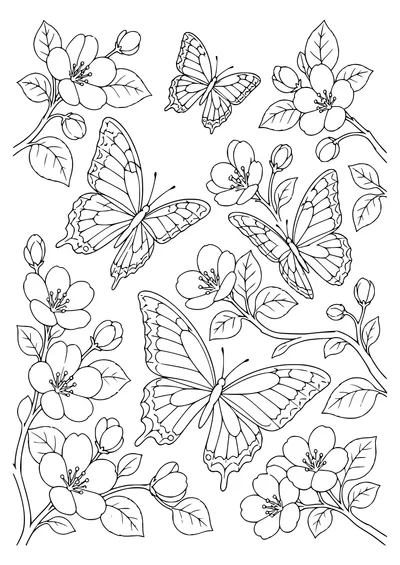 Adult orchard butterflies — kostenloses Ausmalbild zum Ausdrucken