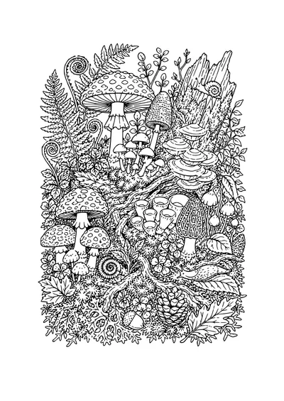 mushroom forest coloring page