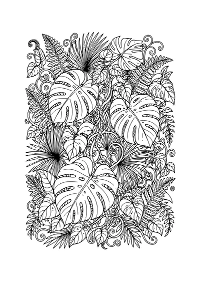 rainforest leaves coloring page