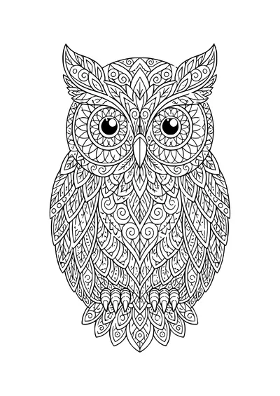 owl filled with patterns coloring page