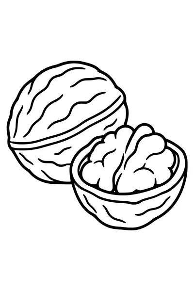 One whole walnut lies beside a simple open half-shell containing the broad walnut kernel.