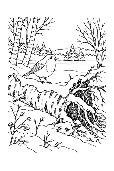 Coloriage : Rouge-gorge près d’un tronc de bouleau enneigé.