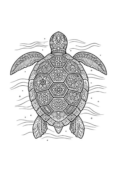 Coloring page of a sea turtle with each shell plate in a different pattern